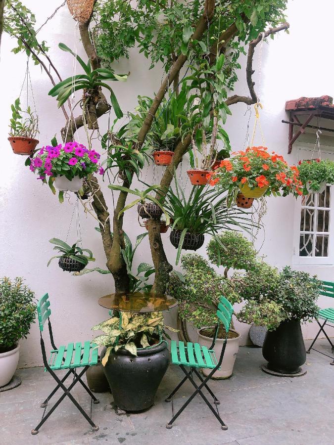 Green Garden Homestay Hoi An Eksteriør billede