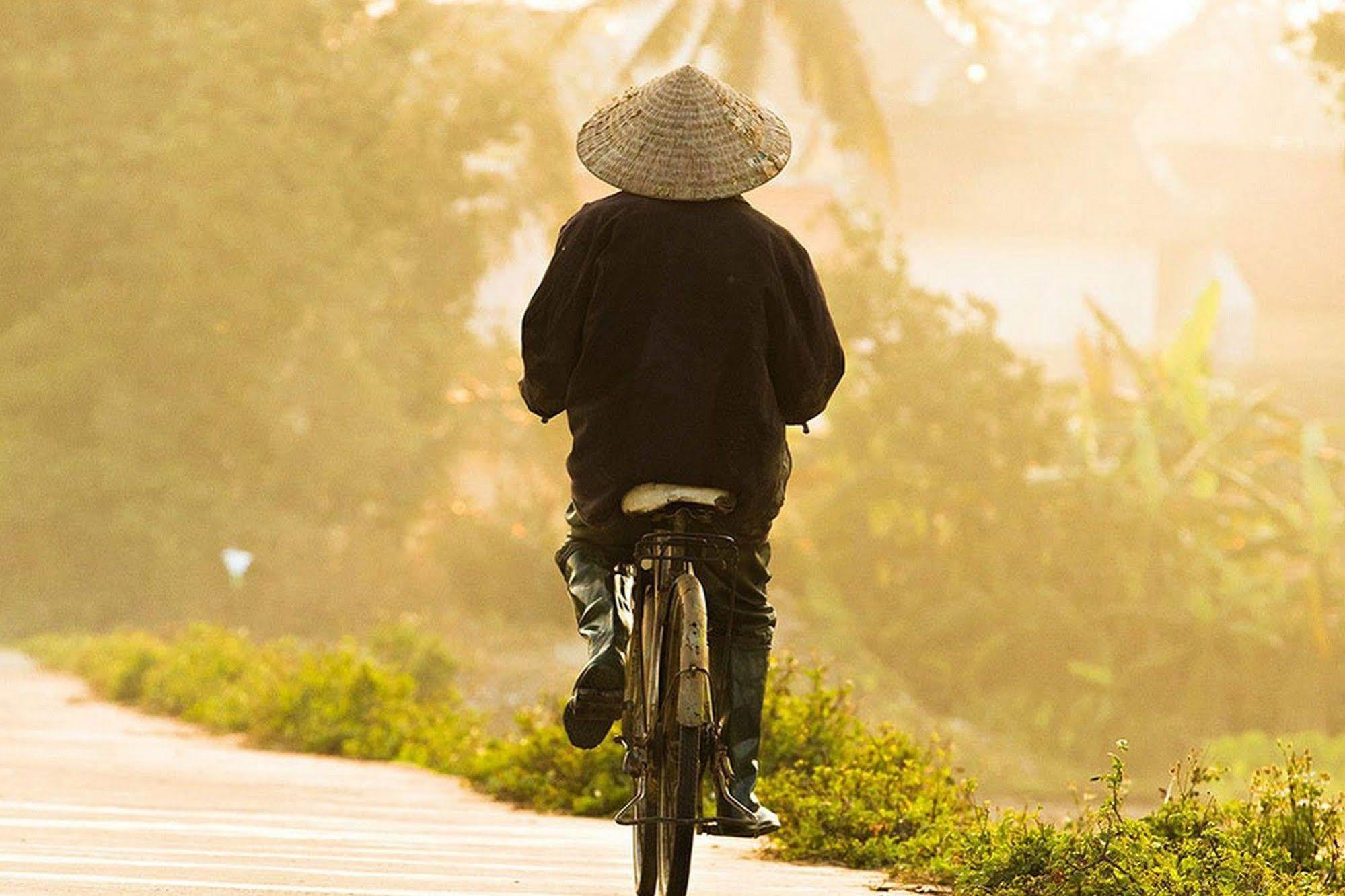 Green Garden Homestay Hoi An Eksteriør billede